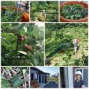 이명자농장 이미지