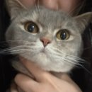 용산원한의원 | 260413-19 주말 서울 찍먹 I 국현미 데이미언 허스트 현장 예매 후기 I 망미동 베이크호네 I 알찬 일주일