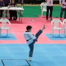더빛광교태권도장 티스토리