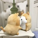 기억하개 이미지