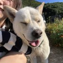 차리숙소 이미지