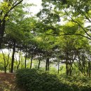 금호1가동주민센터 이미지