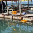 부흥호가두리낚시터 이미지