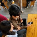 임가네돈 이미지