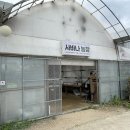 선인농장 이미지