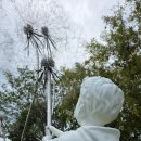 뚝섬한강공원-93 이미지