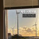 소길힐하우스 민박 | 3박4일 서쪽 여행 프롤로그1 (용두암, 우진해장국, 소길별하, 한담해변, 신창풍차해안도로, 서귀포올레...