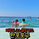판포홈 | 제주도 여행 핫플 판포포구 스노클링 실제로 가보니