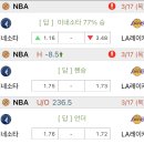 피닉스랜드 티스토리