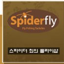 스파이더 플라이샵 이미지