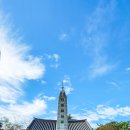 충의공원(충혼탑) 이미지