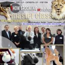 윈그루밍 이미지