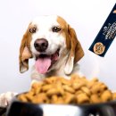 맥스동물병원 이미지