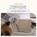 먼지제로 | 미켈란제로 벤토나이트 고양이 모래 후기 | 먼지제로·냄새제로 실사용 리뷰