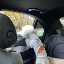 2Do (2도) 이미지