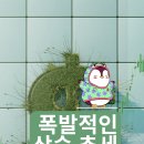 아스터