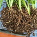 비원도서관 이미지