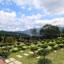 (주)펫노블레스 이미지