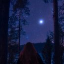 Seed of Li 이미지