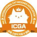 신사숙묘 네이버블로그
