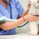 온유동물병원 이미지