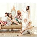 셀미디어(주) 이미지