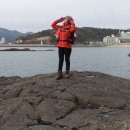 코끼리웰빙