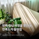 대신쇼파 | 생활특권 빈백 추천 편안한 거실 1인쇼파 후기