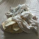 찬양세탁 이미지