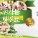 노니사랑