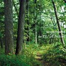 사평대로 이미지