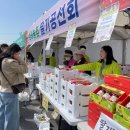 완주 삼례 관광안내센터 | [전라북도 완주군] 완주삼례딸기대축제