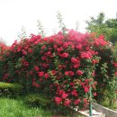 낙동강변로3-3 이미지