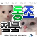 동조장식
