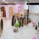 고양이 무마취미용&호텔 무냥무냥 부산서면점 이미지