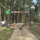 금촌유아숲체험원 | 경주 아이들과 야외활동 가능한 화랑마을 유아숲체험원 방문 후기😁