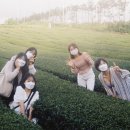 코닥사진관 네이버블로그