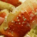 삼학도영덕대게킹크랩 이미지