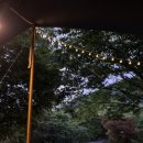 늘푸른쉼터캠핑장 이미지