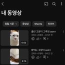 황철수피자안정점 | 불미스러운 일이 생겼어요...