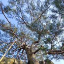 입석마을회관 이미지