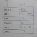 4층샘약국 네이버블로그