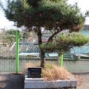 남본2리경로당 이미지