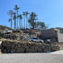 무릉도원 캠핑장 이미지