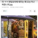 돼지PC방 이미지