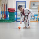 경희대성웅태권도 이미지