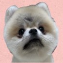 수멍발소 이미지