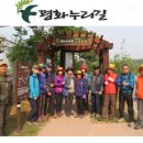 고랑포길 이미지