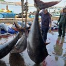 바다 - 기장군 이천길 21 | 바다