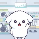 길의료기 | 복지용구 구매처 이원건강의료기 화성점, 길 찾기부터 방문까지 한번에